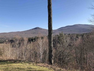 1309 Notchbrook Rd unit 1 CS, Stowe, VT 05672 - photo 2