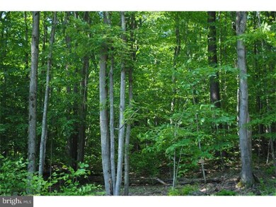 95 Lake Shore Dr, Pocono Lake, PA 18347 - photo 5