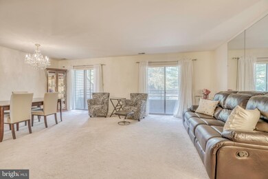 6903 Jones View Dr unit 2, Baltimore, MD 21209 - photo 6