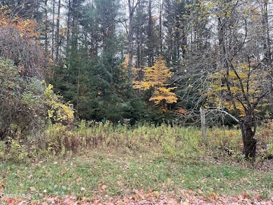 L34 Truesdale Hill Rd, Lake George, NY 12845 - photo 6