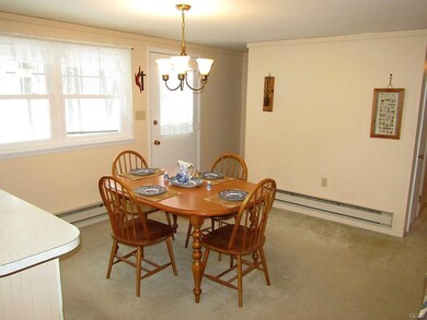 97 White Birch Dr, Jim Thorpe, PA 18229 - photo 6