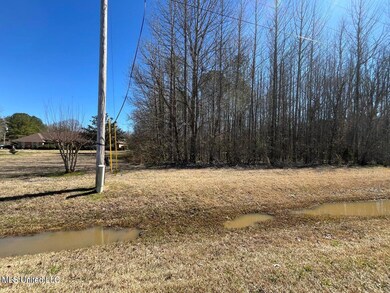 20250226215650050649000000-o