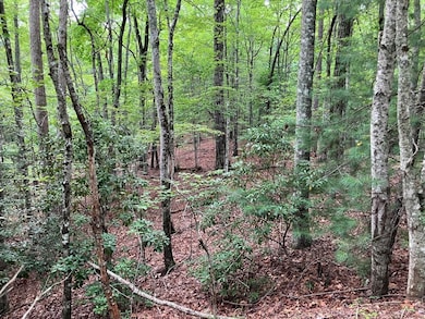 Lot 41 Floris Mountain Rd, Murphy, NC 28906 - photo 7