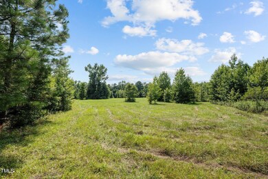 0 Holman Mill Rd unit 10045393, 8, Newlin, NC 27349 - photo 4