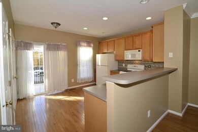 25369 Shipley Terrace, Chantilly, VA 20152 - photo 4