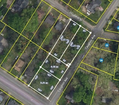 11-14 River Caughlin Elizabeth St, Anderson, SC 29621 - photo 6