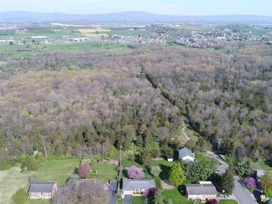 1121 S Dogwood Dr, Harrisonburg, VA 22801 - photo 4