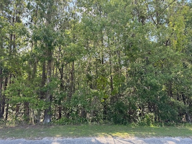 Tract 2 Tabernacle Rd, Eutawville, SC 29048 - photo 3