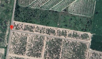 00 N Western Rd, Edinburg, TX 78541 - photo 2