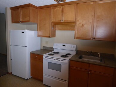 Efficient kitchen with newer cabinets