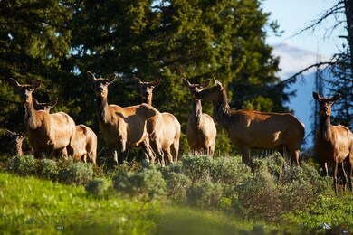 0 Decamp Dr unit 215316, Big Sky, MT 59716 - photo 7