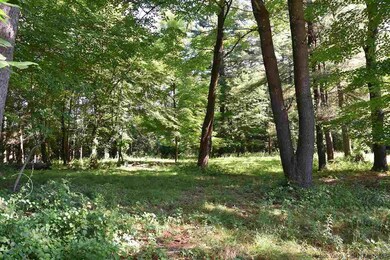 0 Victory Ln unit 20192665, Red Hook, NY 12571 - photo 4