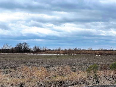 000 Hwy 79 Hwy, Stuttgart, AR 72160 - photo 3