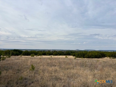 Unassigned County Road 3270, Kempner, TX 76539 - photo 6