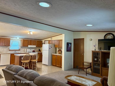 196 Apollo Ave, Flushing, MI 48433 - photo 6