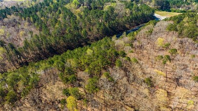 Bird's eye view of a heavily wooded area