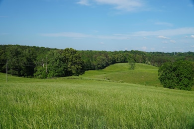 339 Mcnutt Rd, Bear Creek, AL 35543 - photo 6