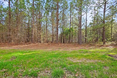 21 Cottrell Ridge Rd, Dover, TN 37058 - photo 5