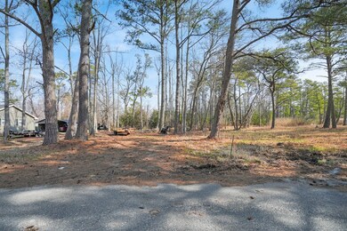 Lot 14A Howard Dr unit 700, Chincoteague, VA 23336 - photo 2
