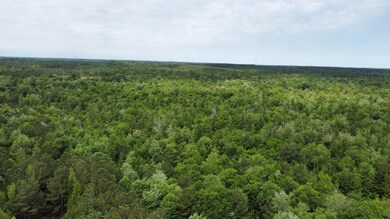 dji_fly_20250521_102920_934_174784173045
