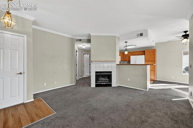 3895 Strawberry Field Grove unit A, Colorado Springs, CO 80906 - photo 3