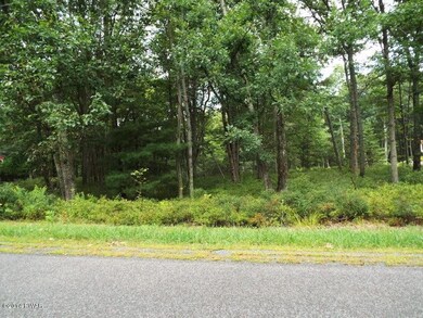 Lot 28 Blackbirch Ln, Blooming Grove Township, PA 18428 - photo 3