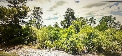 2015 Alan St, Sebring, FL 33875 - photo 2