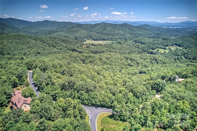 1018 Mills River Way, Horse Shoe, NC 28742 - photo 3