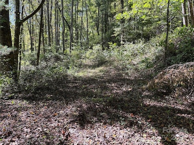 TBD Happy Ridge Ln, Sylva, NC 28779 - photo 2