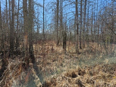 TBD 360th St, Shevlin, MN 56676 - photo 5