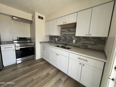 827 E 11th Ave, Mesa, AZ 85204 - photo 5