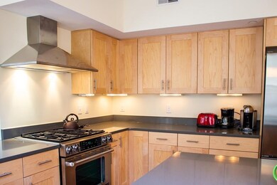 16 Chilton St unit 2, Cambridge, MA 02138 - photo 7