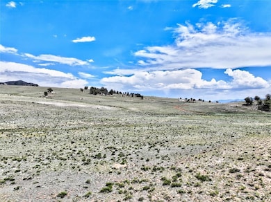 656 Ute Trace, Hartsel, CO 80449 - photo 2