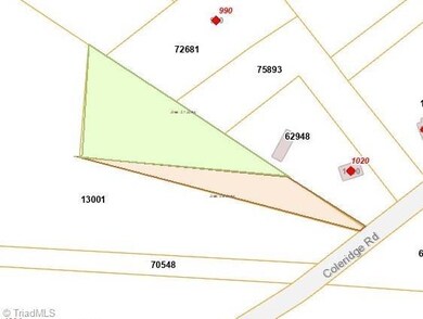 000 Coleridge Rd, Siler City, NC 27344 - photo 2