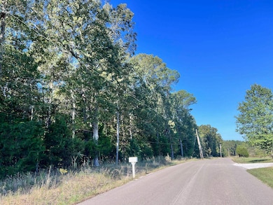 0 Melvin Qualls Rd, Michie, TN 38357 - photo 4