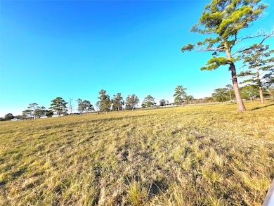 730 County Road 6610, Dayton, TX 77535 - photo 7