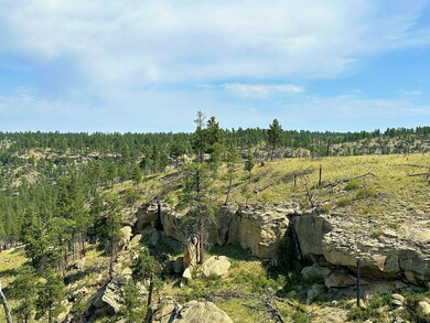 0 Buckskin Rd, Roundup, MT 59072 - photo 6