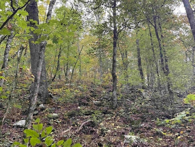 000 Hwy 65, Clinton, AR 72031 - photo 3