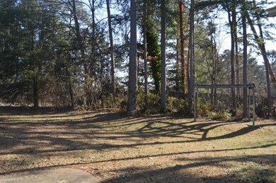 Shaded back yard