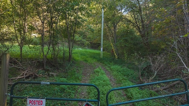 69.26 Acre Wolfe Rd, Sneedville, TN 37869 - photo 3