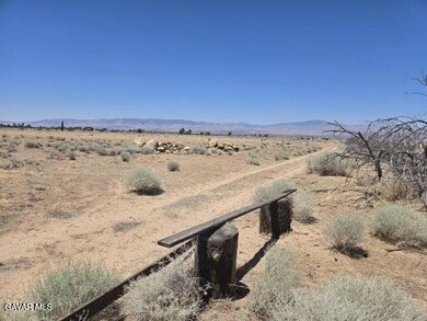 Ave E8 Vic 177 Stw, Fairmont, CA 93536 - photo 6