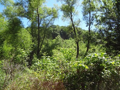 View from the road looking up toward the hills.