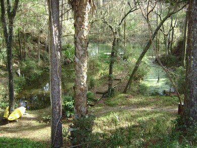10935 SW 186th Cir, Dunnellon, FL 34432 - photo 2