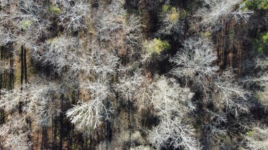 dji_fly_20240213_084448_203_170783549825