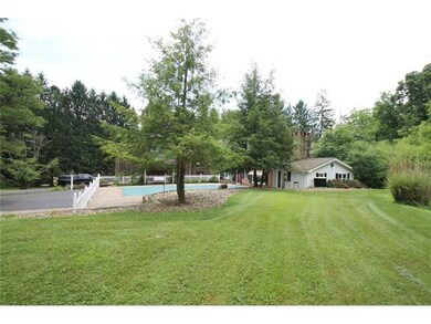 Yard/Garden.