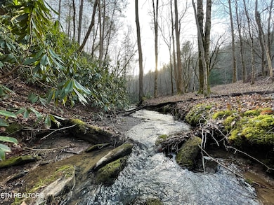 Creek