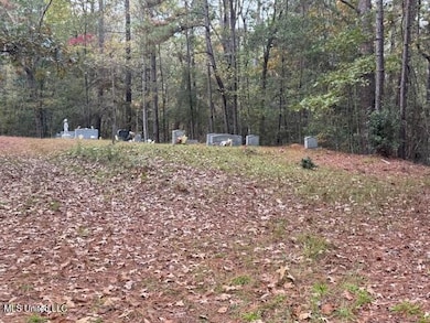 0 Coons Mill Rd, Centreville, MS 39631 - photo 6