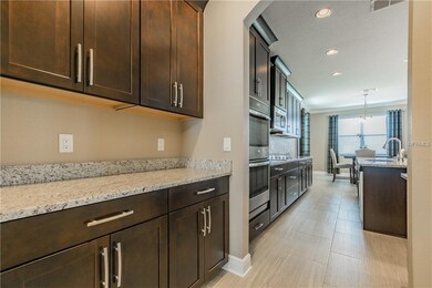 1559 Fox Grape Loop, Lutz, FL 33558 - photo 6