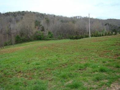 42.37 ac Cherry Creek Rd, Cookeville, TN 38506 - photo 2