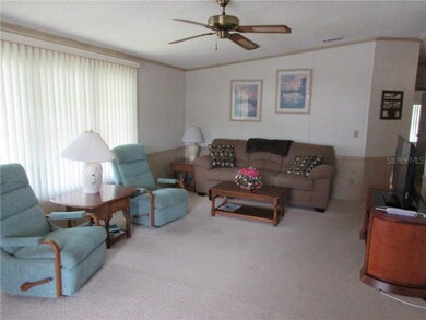 35032 McCulloughs Leap, Zephyrhills, FL 33541 - photo 4